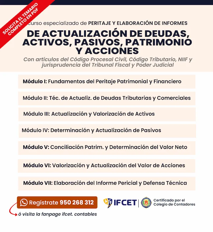 Peritaje Y Elaboracion De Informes Actualizacion De Deudas Activos Pasivos Patrimonio Y Acciones